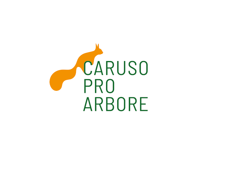 Logo CarusoProArbore