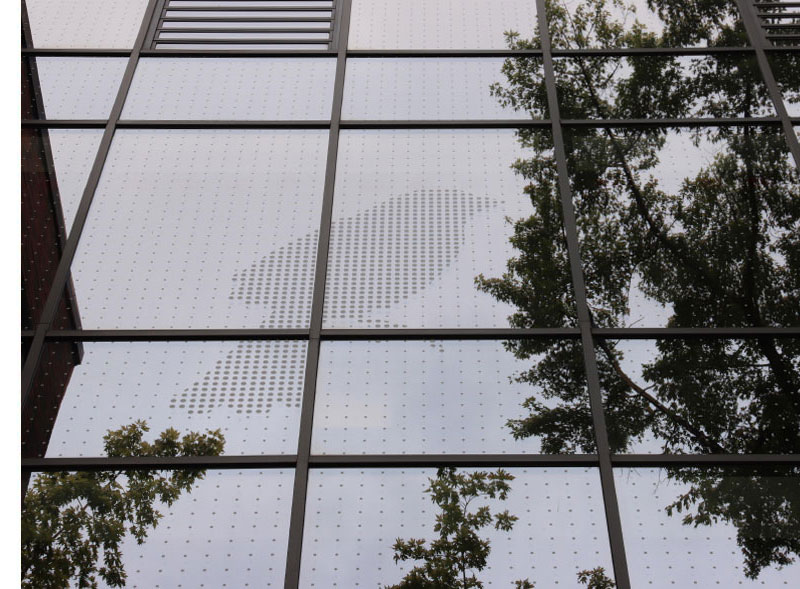 Hochschule Mannheim Vogel-Anprallschutz